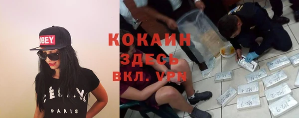 прущие грибы Лагань