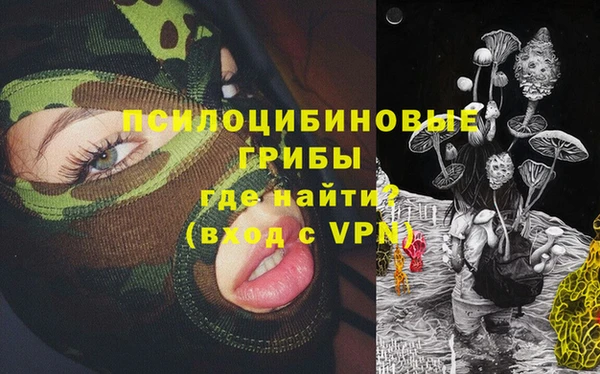 шишки Лихославль