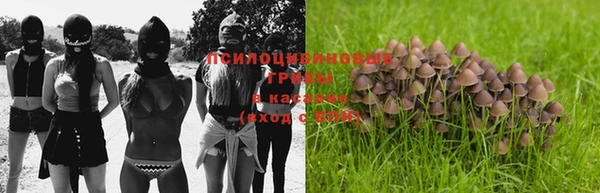 прущие грибы Лагань