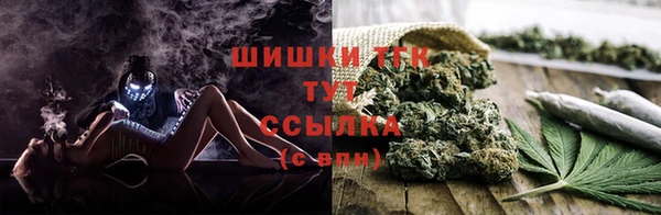шишки Лихославль