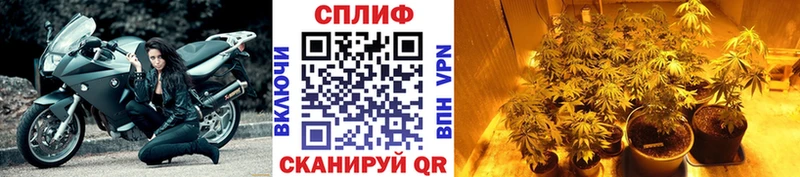 Каннабис план Струнино